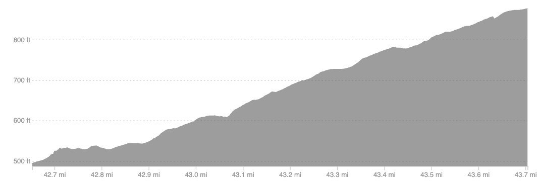 Augusta Berlin Profile