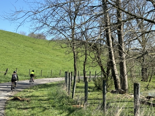 Upload Images and Videos: IMG_0241