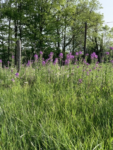 2023-04-2969DFB198-B7D0-4F73-8A38-3A9D069C3750 (1)